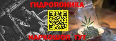 стаф Коммунар