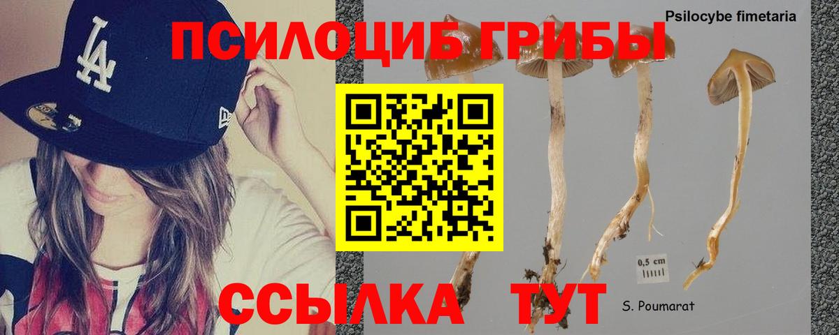 Псилоцибиновые грибы Psilocybine cubensis  Вход с VPN  Ишим 